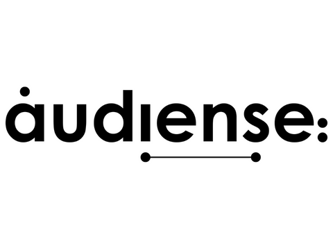 Audiense Connect